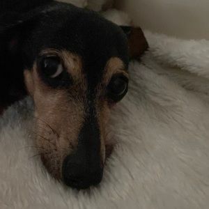 Meet your Posher, Teresa